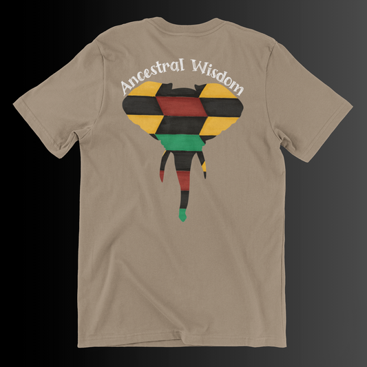 Ancestral Wisdom Men's T-Shirt